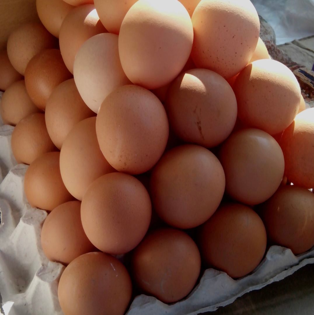 venta de huevos