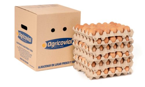 cajas de huevo para venta de huevos por caja